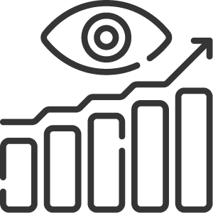 Our vision icon